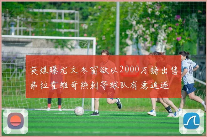 英媒曝尤文冬窗欲以2000万镑出售弗拉霍维奇热刺等球队有意追逐